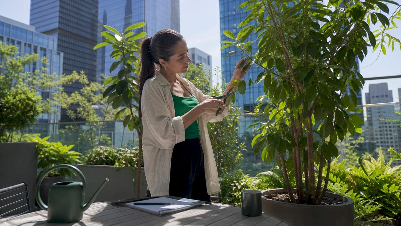 Office Greenery Productivity Benefits: 2026 Guide