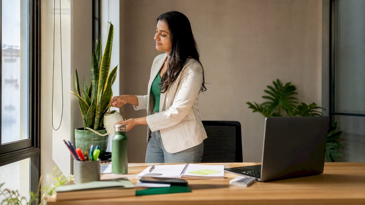 Why Offices Invest in Live Plants: The Real ROI