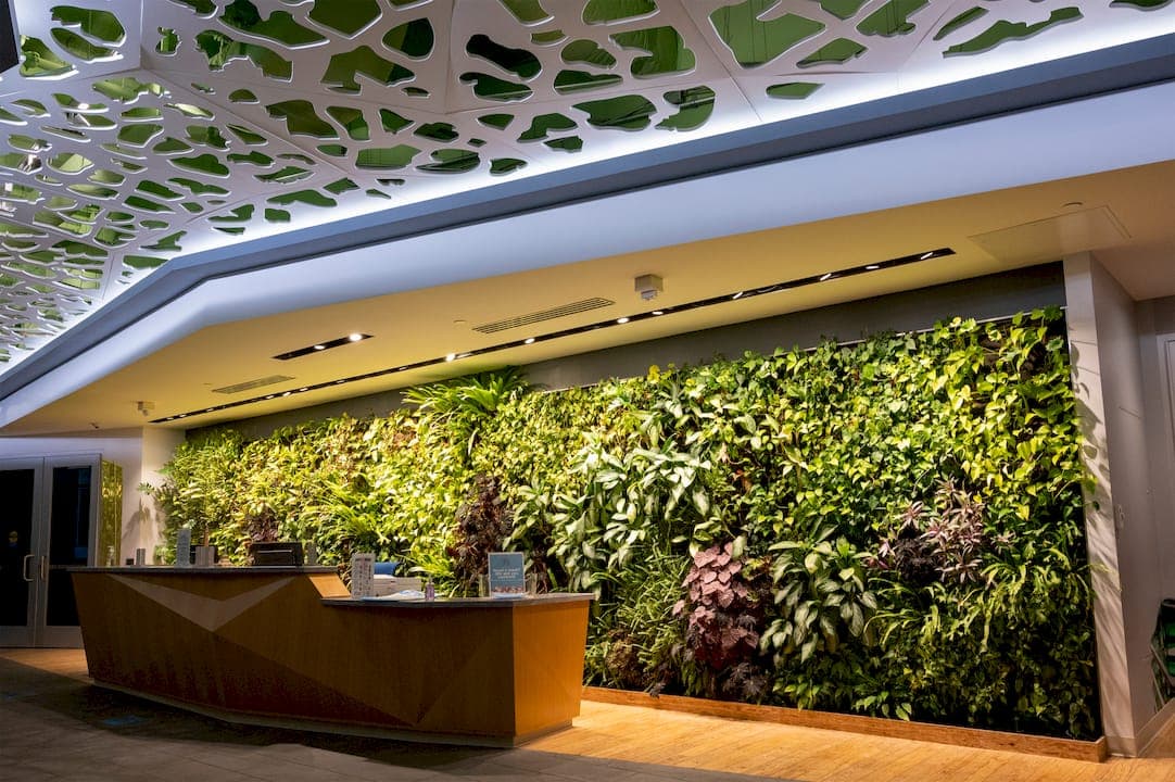 How Commercial Plant Installation Works for Offices