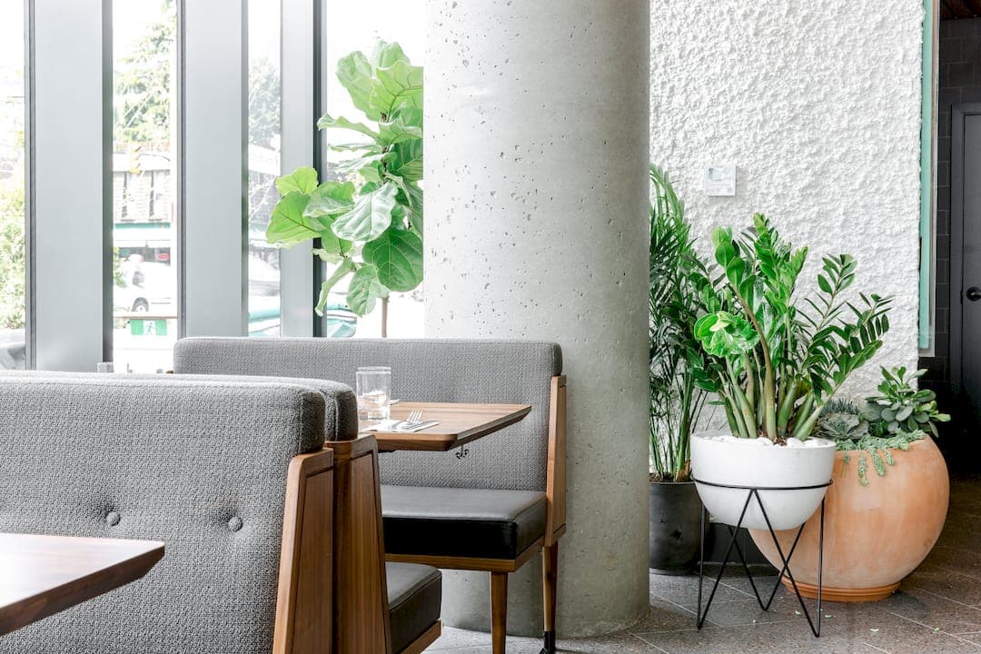 Plant Design Consultation: What Business Owners Need to Know