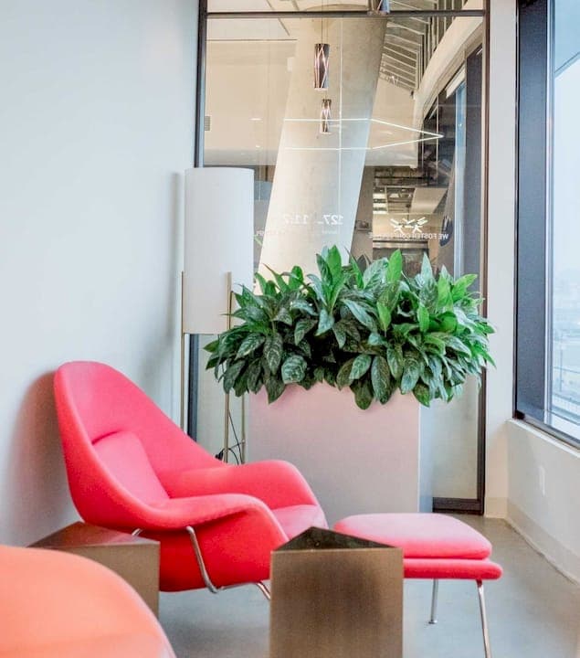How Indoor Plants Affect Productivity at Work