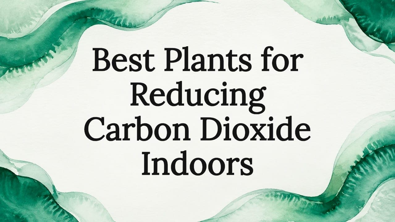 Best Plants for Reducing Carbon Dioxide Indoors