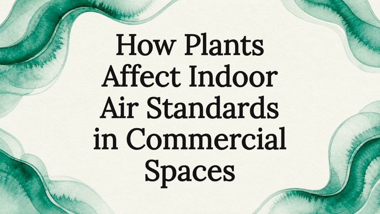 How Plants Affect Indoor Air Standards in Commercial Spaces