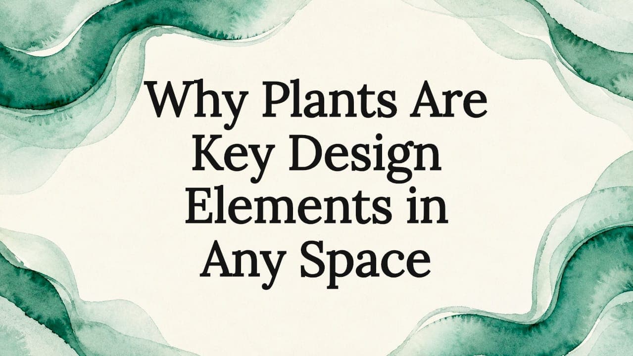 Why Plants Are Key Design Elements in Any Space