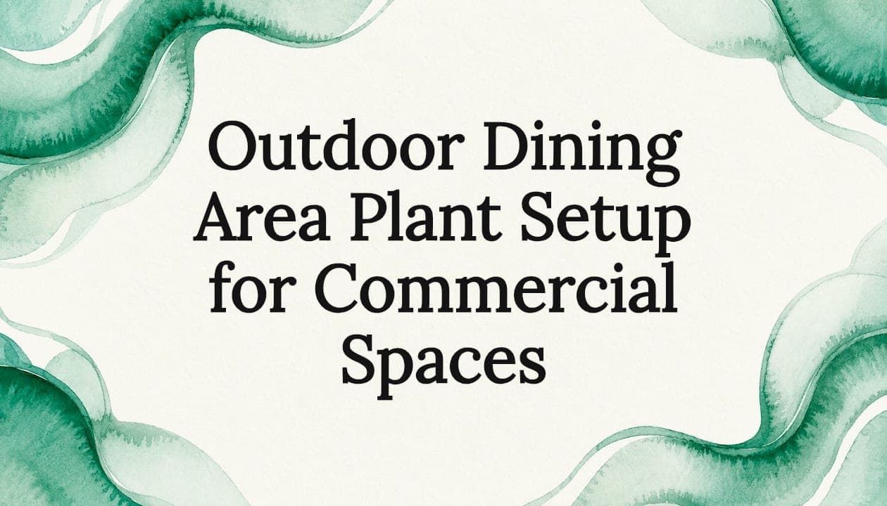 Outdoor Dining Area Plant Setup for Commercial Spaces