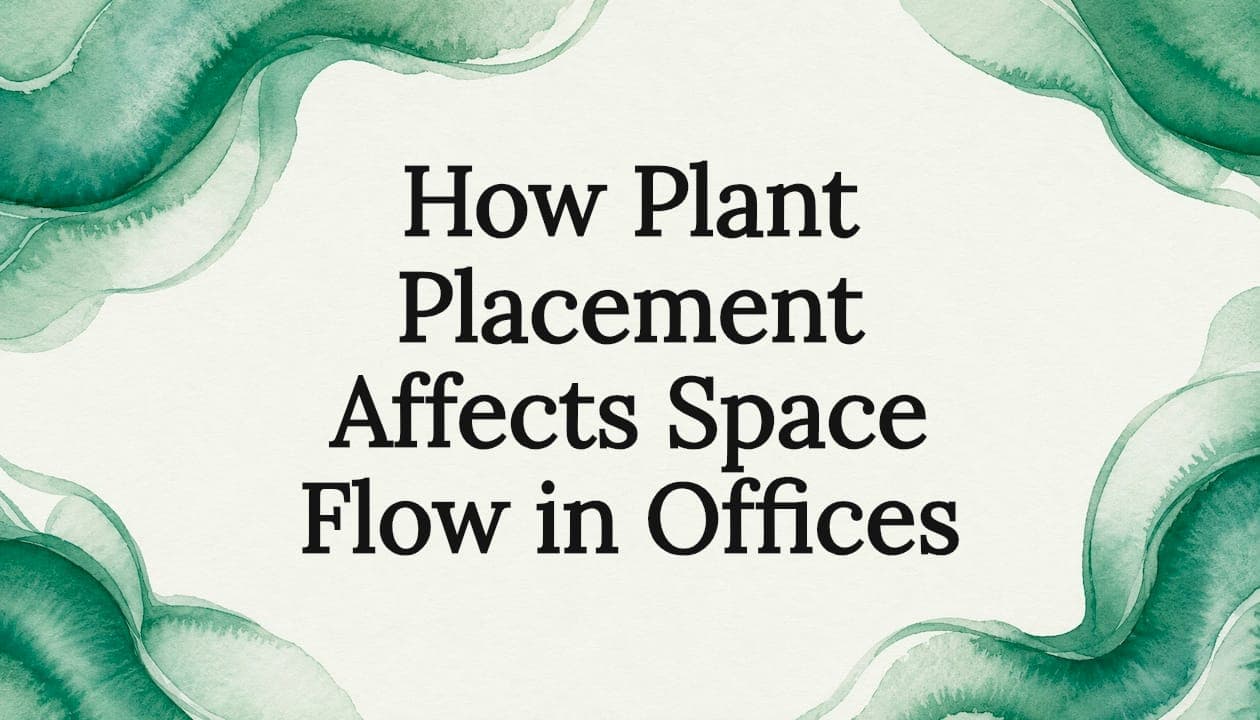How Plant Placement Affects Space Flow in Offices