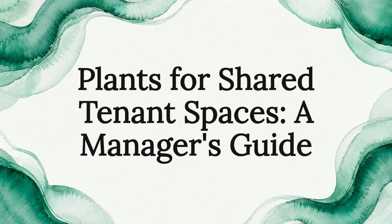 Plants for Shared Tenant Spaces: A Manager's Guide