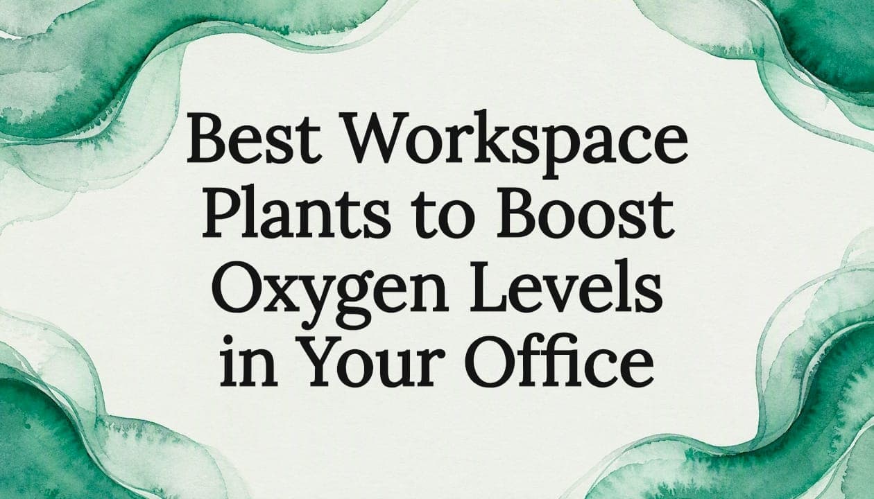 Best Workspace Plants to Boost Oxygen Levels in Your Office