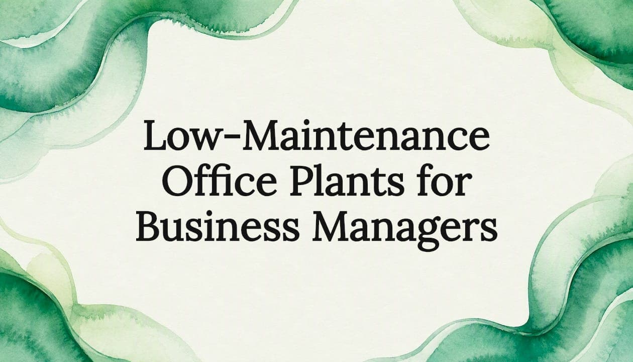 Low-Maintenance Office Plants for Business Managers