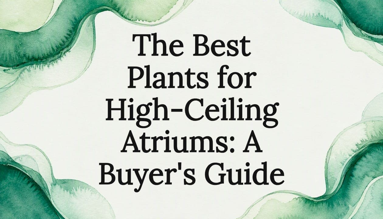 The Best Plants for High-Ceiling Atriums: A Buyer's Guide