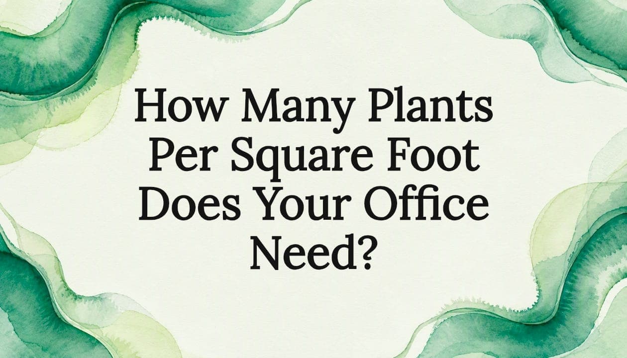 How Many Plants Per Square Foot Does Your Office Need?
