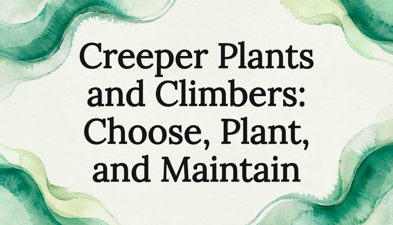 Creeper Plants and Climbers: Choose, Plant, and Maintain